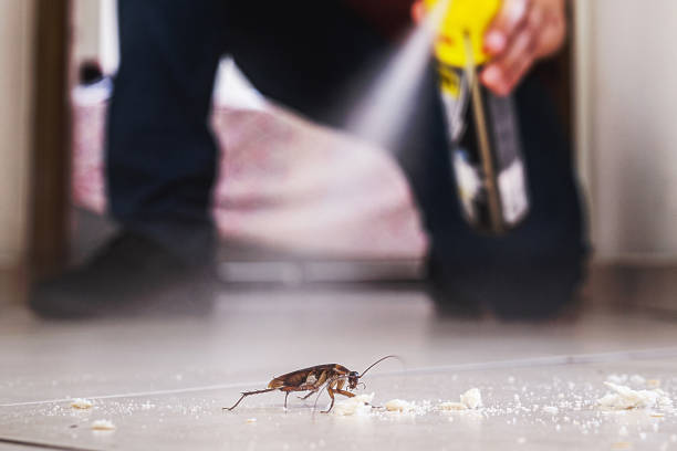 Best Pest Control for Restaurants  in , MO